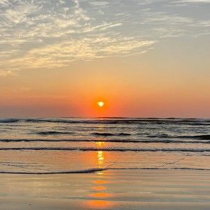 Meet your Posher, Callie